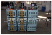 TESGC2系列三相电动调压器